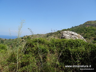 n Michele Forza Agro-13-08-2020 14